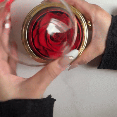 Pudełko „Amor Eterno” Rosa Real Preservada + personalizacja kołnierza